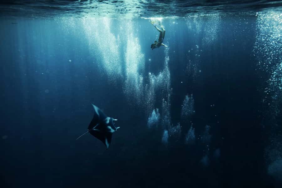 Bora Bora: 3.5-Hour Lagoon Boat Tour with Snorkeling - Looking for manta rays at the feeding ground