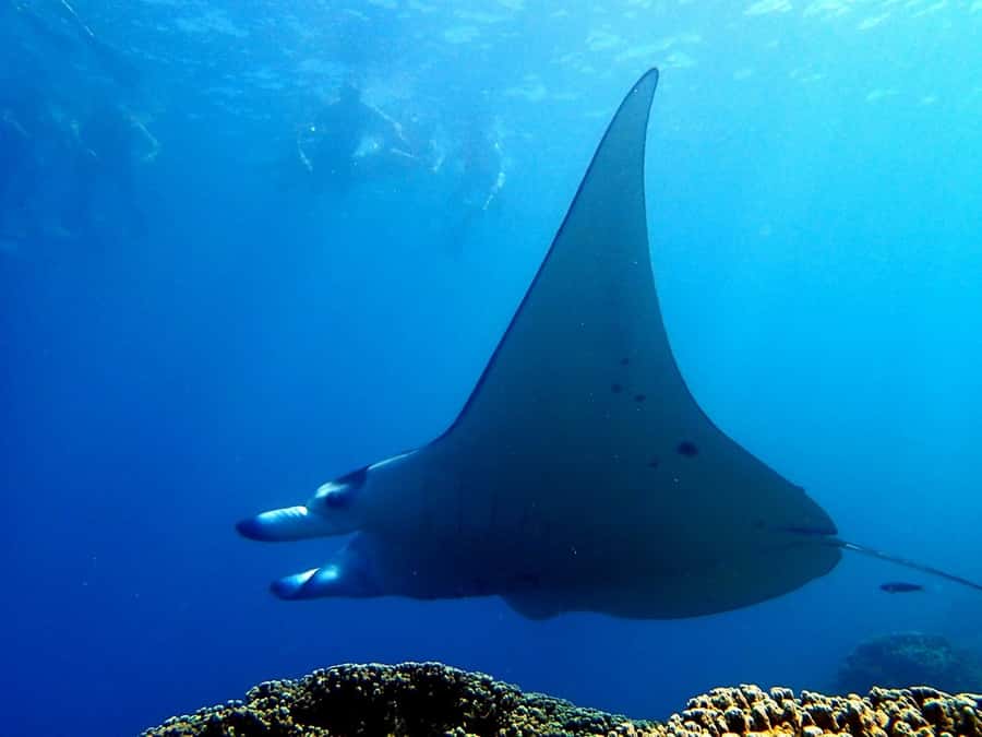 Bora Bora: 3.5-Hour Lagoon Boat Tour with Snorkeling - How the three-and-a-half-hour timing feels