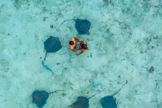Bora Bora 4WD Tour & Eco Shark & Ray Snorkel Cruise - What makes this Bora Bora day special