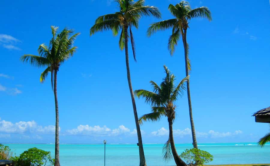Bora Bora: 4x4 Safari with Snorkelling Combo Tour - Is $186 a fair price?