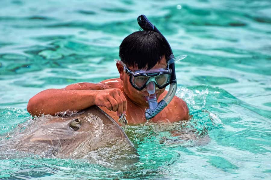 Bora Bora: 4x4 Safari with Snorkelling Combo Tour - Reef sharks, rays, mantas, and a coral garden