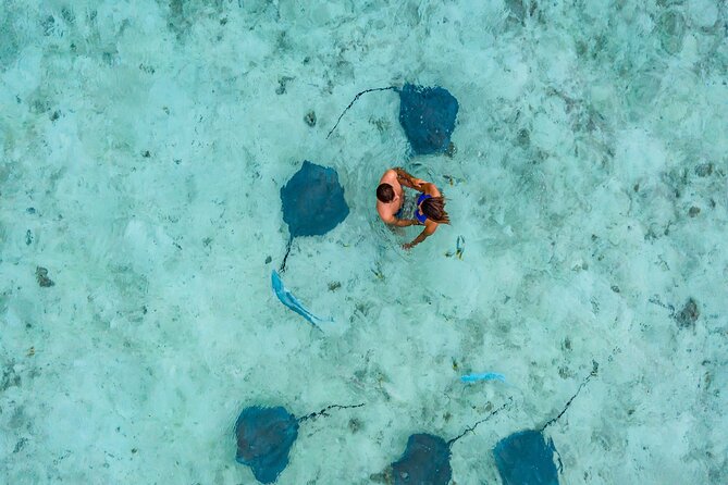 Bora Bora adventure Private Combo Jet Ski and Eco Sharks Snorkel - Morning jet ski ride around the island