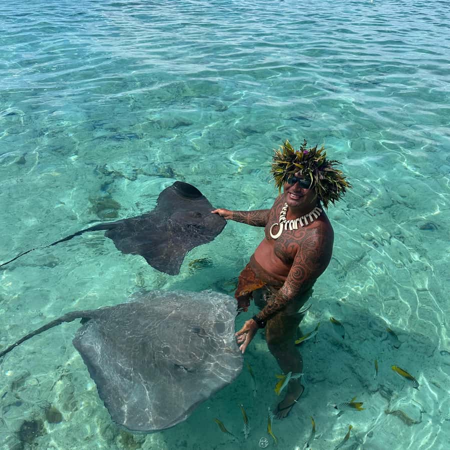 Bora Bora: Blue Lagoon Cruise, Snorkeling and Lunch . - Watching sharks and rays in Bora Bora’s lagoon