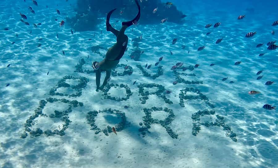 Bora Bora: Blue Lagoon Cruise, Snorkeling and Lunch . - Snorkeling through the coral gardens