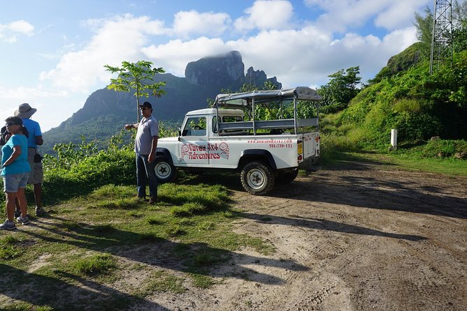 Bora Bora Combo Tour: Lagoon Cruise and 4WD Tour Including Snorkeling - The lagoon portion: rays, sharks, and three water stops