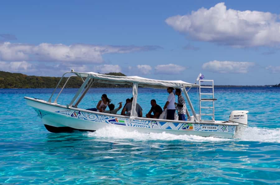 Bora Bora: Eco Shark and Snorkeling Safari - What the $112 price includes
