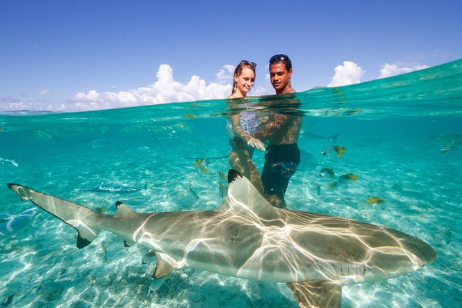 Bora Bora Eco Snorkel Cruise Including Snorkeling with Sharks and Stingrays - Who will enjoy this most