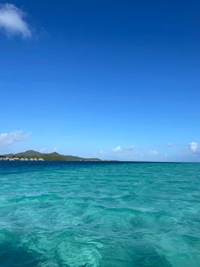 Bora Bora: Full day Lagoon Safari & Lunch on a Motu - ST - Coral garden snorkeling among fish and reef formations