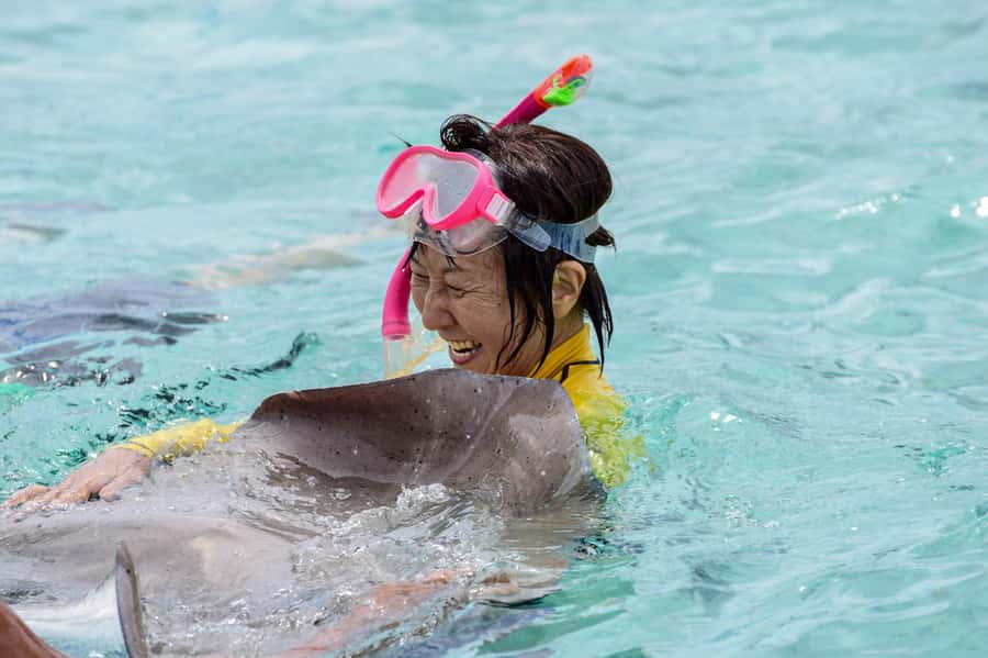 Bora Bora: Full-Day Lagoon Snorkelling Tour - At a glance