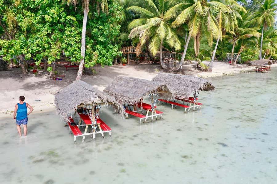 Bora Bora: Full-Day Lagoon Snorkelling Tour - Black-tip sharks in the lagoon
