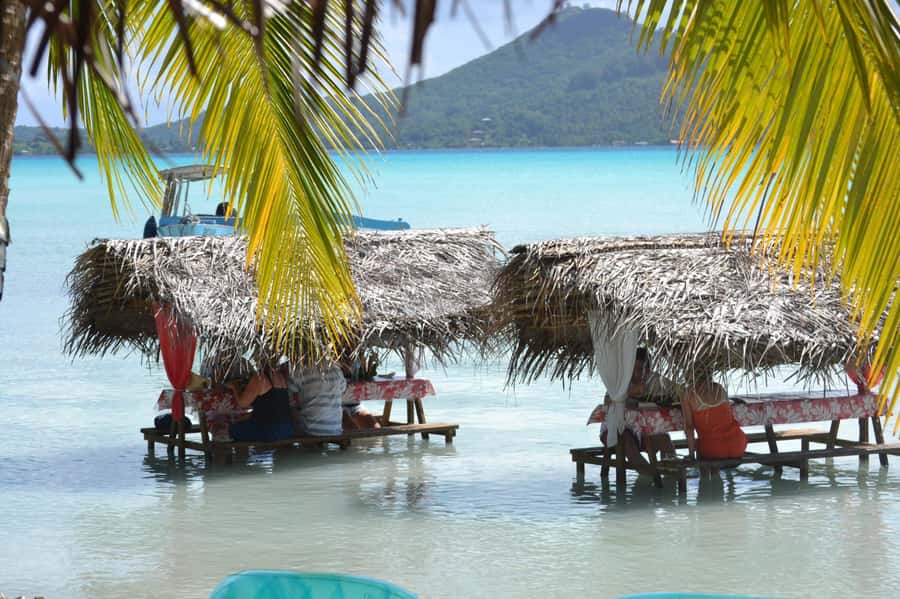 Bora Bora: Full-Day Lagoon Snorkelling Tour - Coconut demonstrations, music, and local flavor