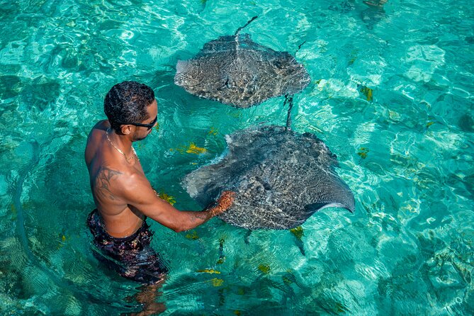 Bora Bora Full Day Snorkeling with Lunch - Shark and ray snorkeling with careful guidance