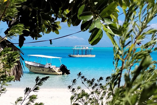 Bora Bora Half Day Snorkeling - Timing, pickup, and practical preparation