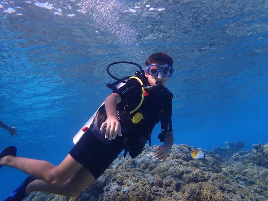 Bora Bora: Introductory Dive - Why Bora Bora’s lagoon works for a first scuba session