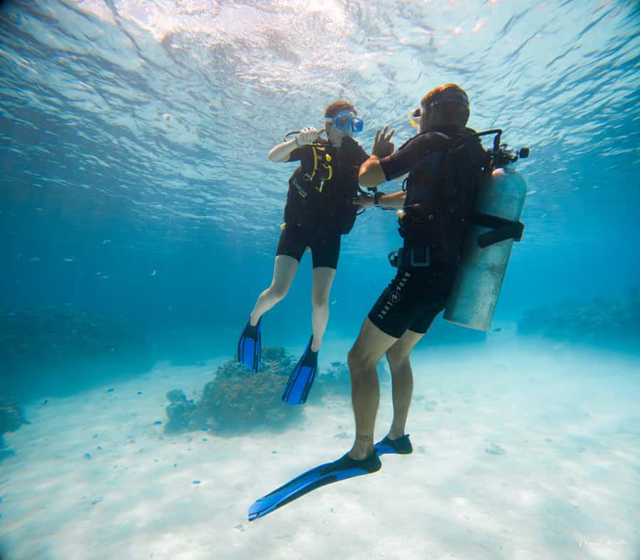 Bora Bora: Introductory Dive - The lesson before you enter the water