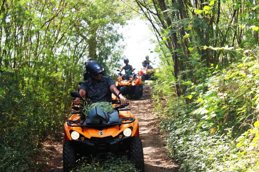 Bora Bora: Island Tour and Mountains Getaway by Quad Bike - At a Glance: What This Tour Does Well