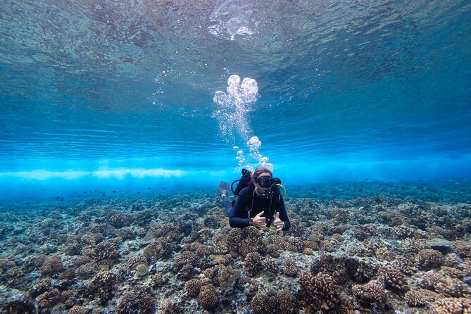 Bora Bora Jet Ski Tour - Two hours around Bora Bora’s lagoon