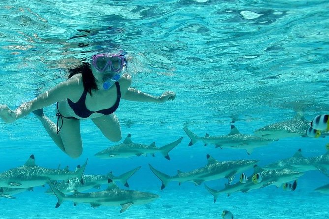 Bora Bora Jet Ski Tour, & Eco Shark / Ray Snorkel Cruise - Lunch at Lucky House