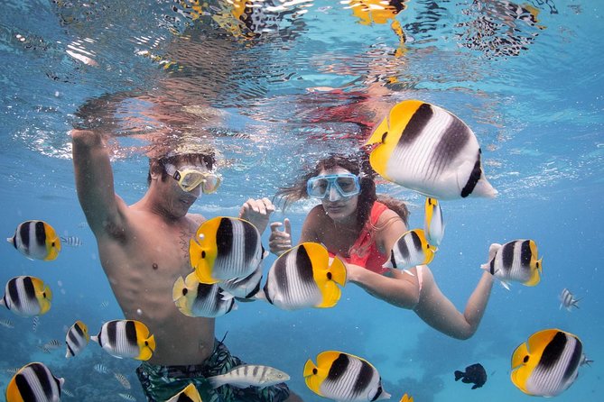 Bora Bora Jet Ski Tour, & Eco Shark / Ray Snorkel Cruise - Mt. Otemanu and the motu stop