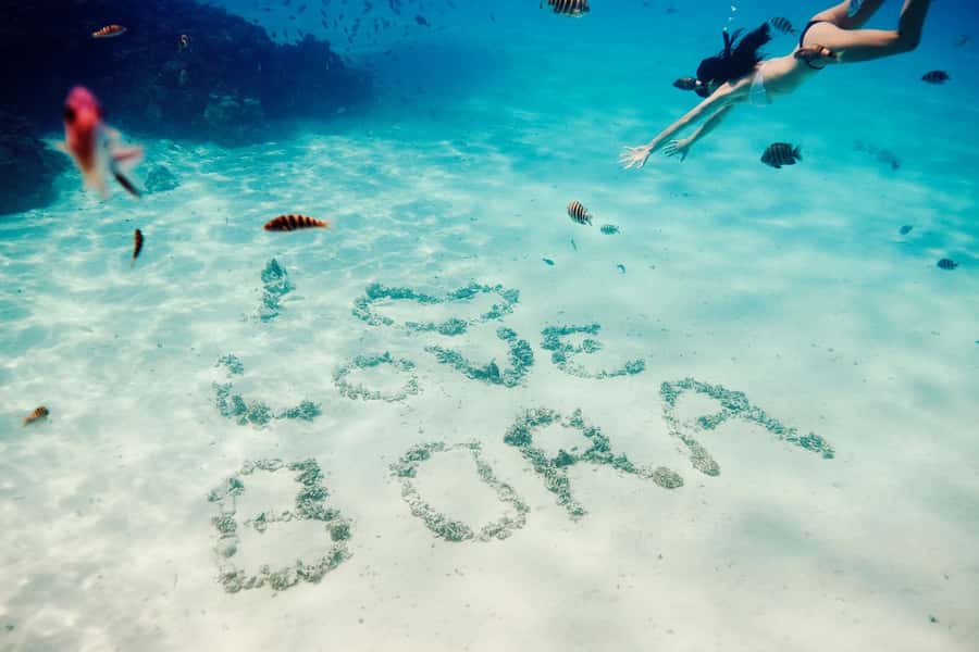 Bora Bora: Lagoon Tour and Snorkeling Experience - Three lagoon stops, three very different encounters