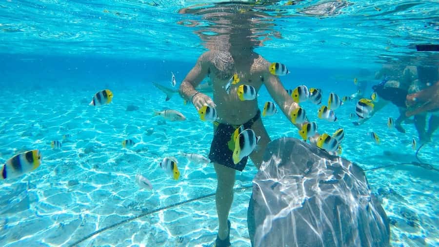 Bora Bora: Lagoon Tour and Snorkeling Experience - Coconut bread and a sandbank pause