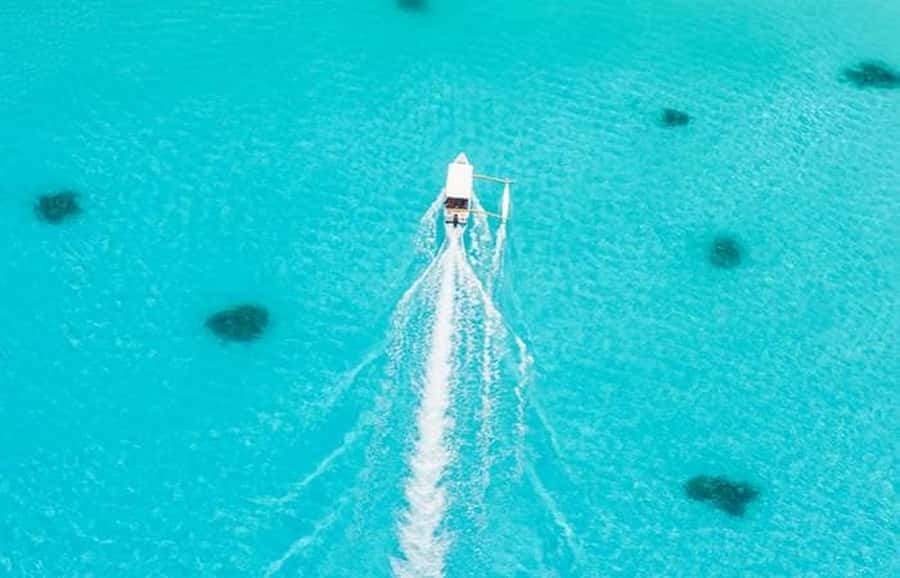 Bora Bora: Lagoon Tour and Snorkeling Experience - What $138 includes, and where the value lies