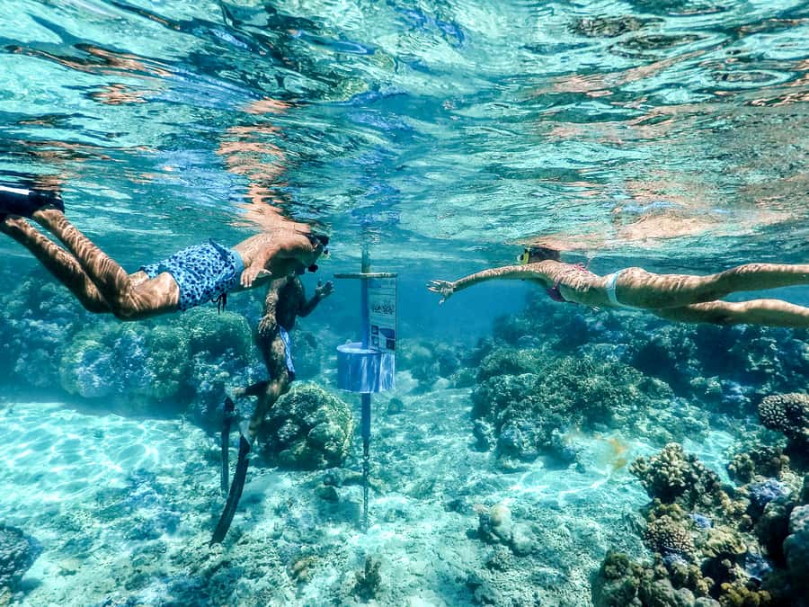 Bora Bora: Lagoon Tour and Snorkeling Experience - Practical tips for a smoother four hours