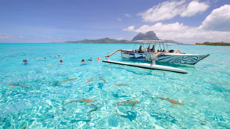 Bora Bora: Lagoon Tour and Snorkeling Experience - Second stop: Bora Bora’s coral garden