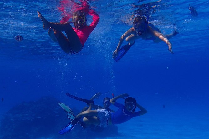 Bora Bora: Luxury Private Half Day Snorkeling Tour - How private is private?