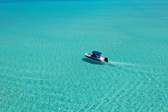 Bora Bora: Luxury Private Half Day Snorkeling Tour - Is the $780 price fair?