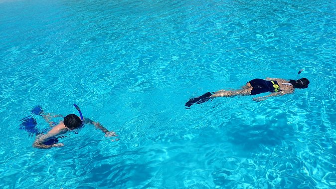 Bora Bora: Luxury Private Half Day Snorkeling Tour - Morning or afternoon on the Bora Bora lagoon