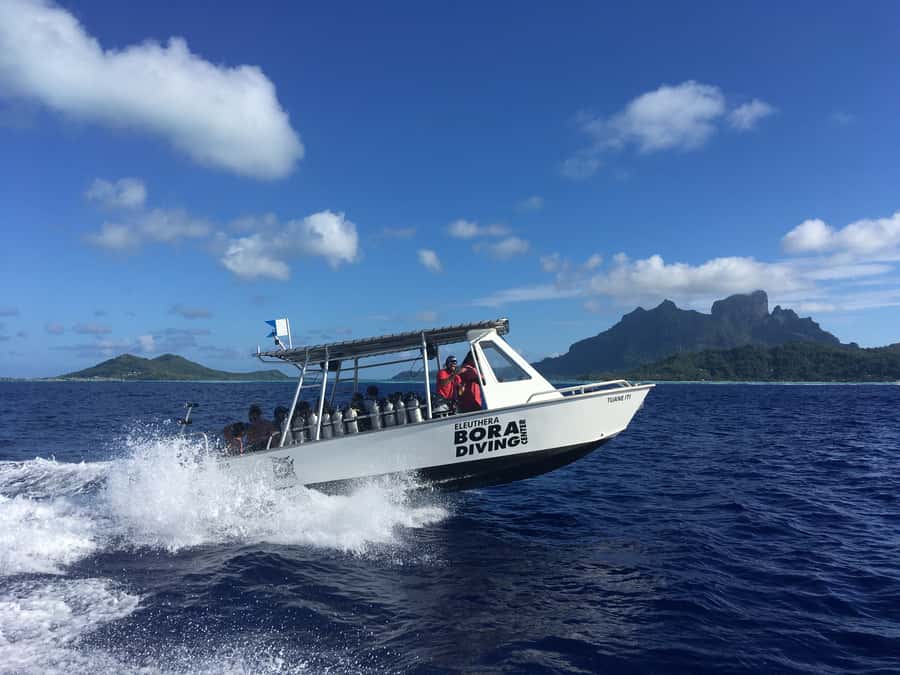 Bora Bora: Morning 2 tank dive for certified divers - What the $227 price includes