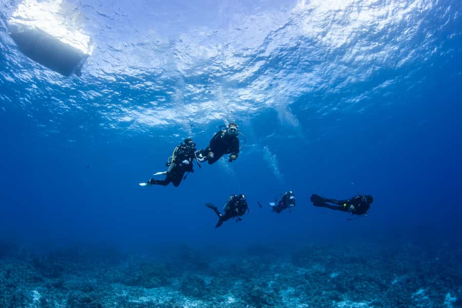 Bora Bora: Morning 2 tank dive for certified divers - Who should book this morning outing?