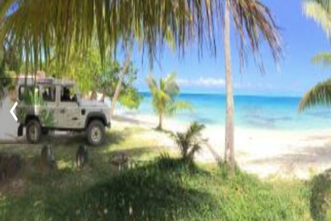 Bora Bora Off-Road Sightseeing Tour - The biggest practical issue is dependable pickup