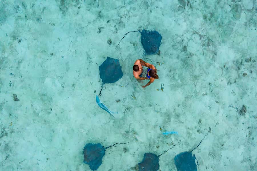 Bora Bora: Private Boat Tour with Snorkeling and Drinks - Cruising past beaches and viewpoints