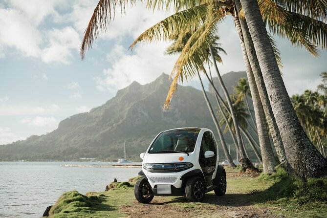 Bora Bora Private Departure Hotels to Airport Transfer - Is $99.24 per person a good value?