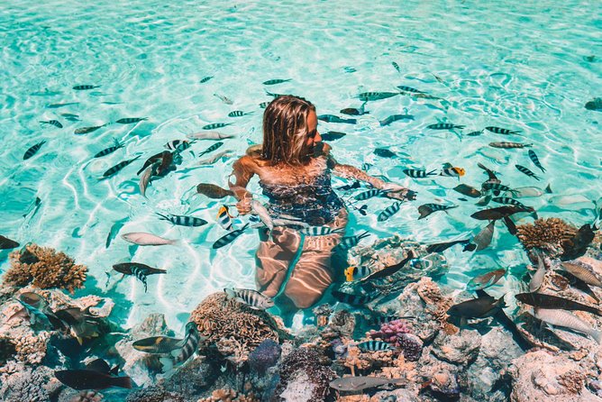 Bora Bora Snorkel Cruise by Polynesian Outrigger Canoe with BBQ Island Lunch - Coral gardens with fish and clams