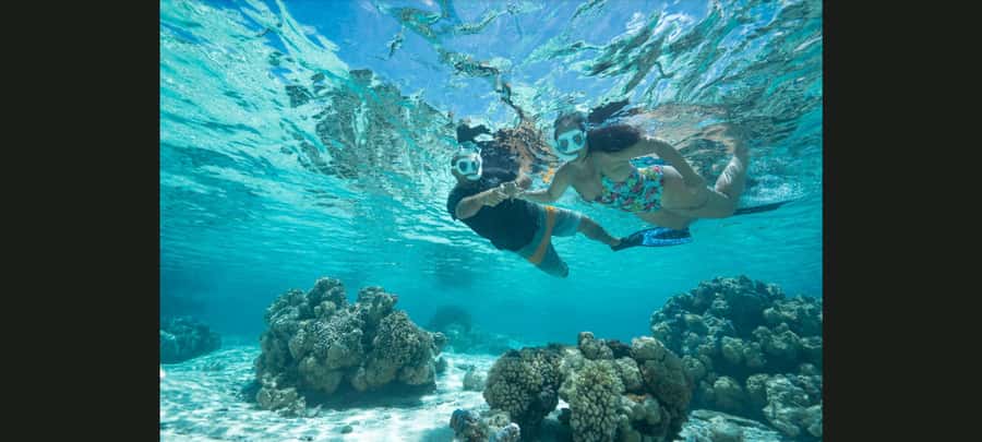 Bora Bora: Snorkeling and Fishing Tour with Lunch Option - Why this private Bora Bora outing works well