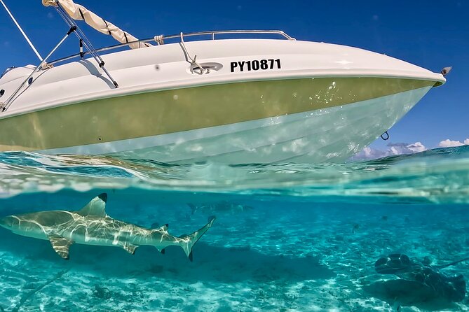 Bora Bora Underwater Scooter - Is $493.14 a Fair Price for Two?