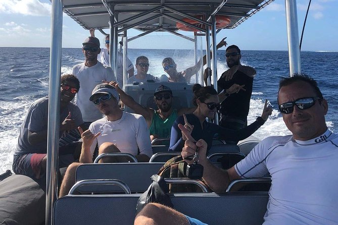 Bora Bora Whale Watching - The small-group advantage