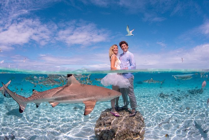 Combo Diving and Snorkeling Full Day Tour - What the private format is worth at $1,800