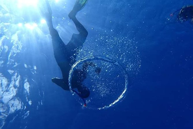 Combo Diving and Snorkeling Half-Day Tour - Fitness, health, and water confidence