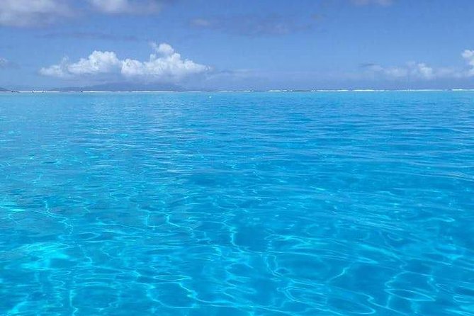 Combo Diving and Snorkeling Half-Day Tour - What the first scuba session is like