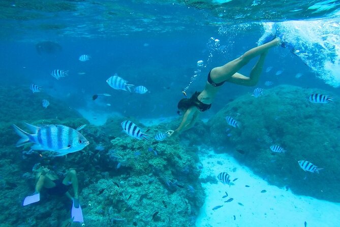 Combo snorkeling + motu lunch + jet ski group tour full day - Why this Bora Bora combo works so well