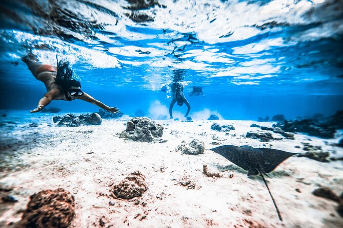 Cook Islands Turtle and Ray Tour - Who will enjoy this most?