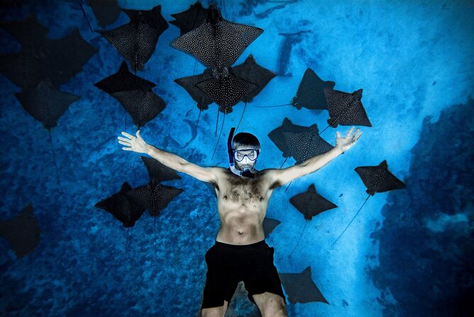 Cook Islands Turtle and Ray Tour - What the 90-minute snorkeling trip is like
