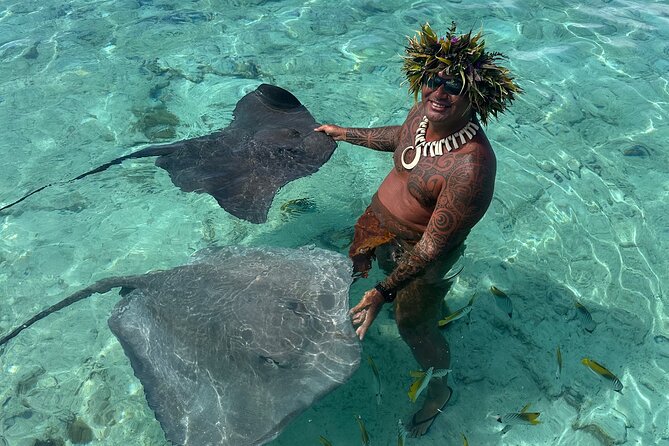 Crazy sea horse Bora Bora Comfortable boat, snorkeling and lunch - Mo and Tu bring the human touch