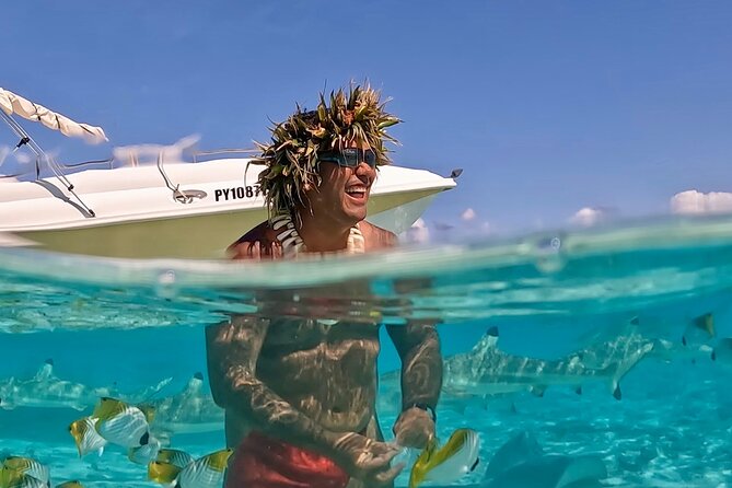 Crazy sea horse Bora Bora Comfortable boat, snorkeling and lunch - Is $200 a fair price?