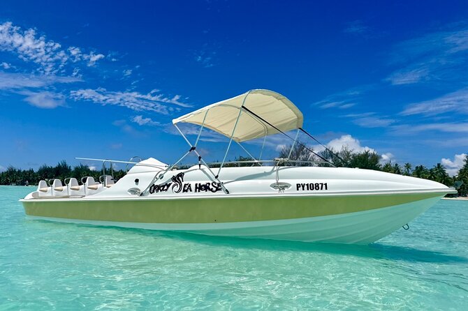 Crazy sea horse Bora Bora Comfortable boat, snorkeling and lunch - The fast ride across the lagoon