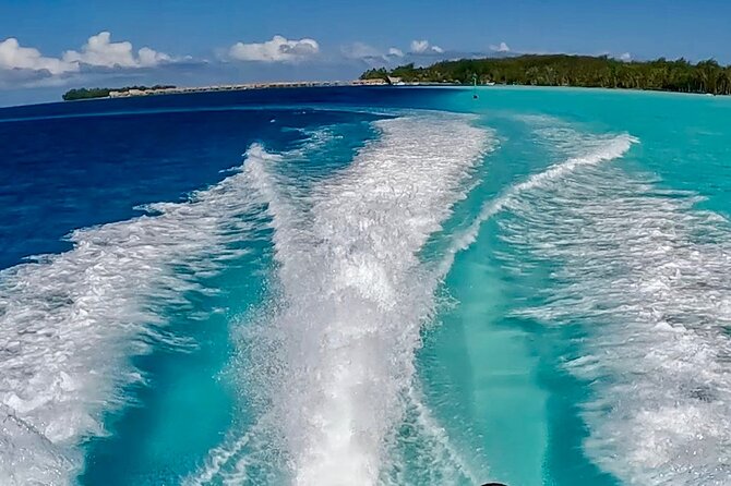 Crazyseahorseborabora Comfortable boat , sensational snorkeling . - A Possible Circuit Around Bora Bora